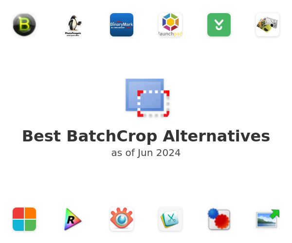 batchcrop review